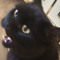 jQuery