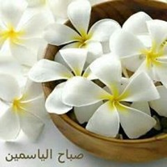 الحياه حلوة