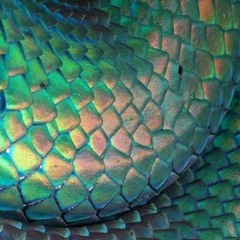 𝔑𝔤𝔞𝔥𝔲𝔦𝔞