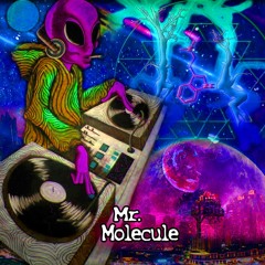 Mr. Molecule