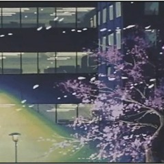楊恩智