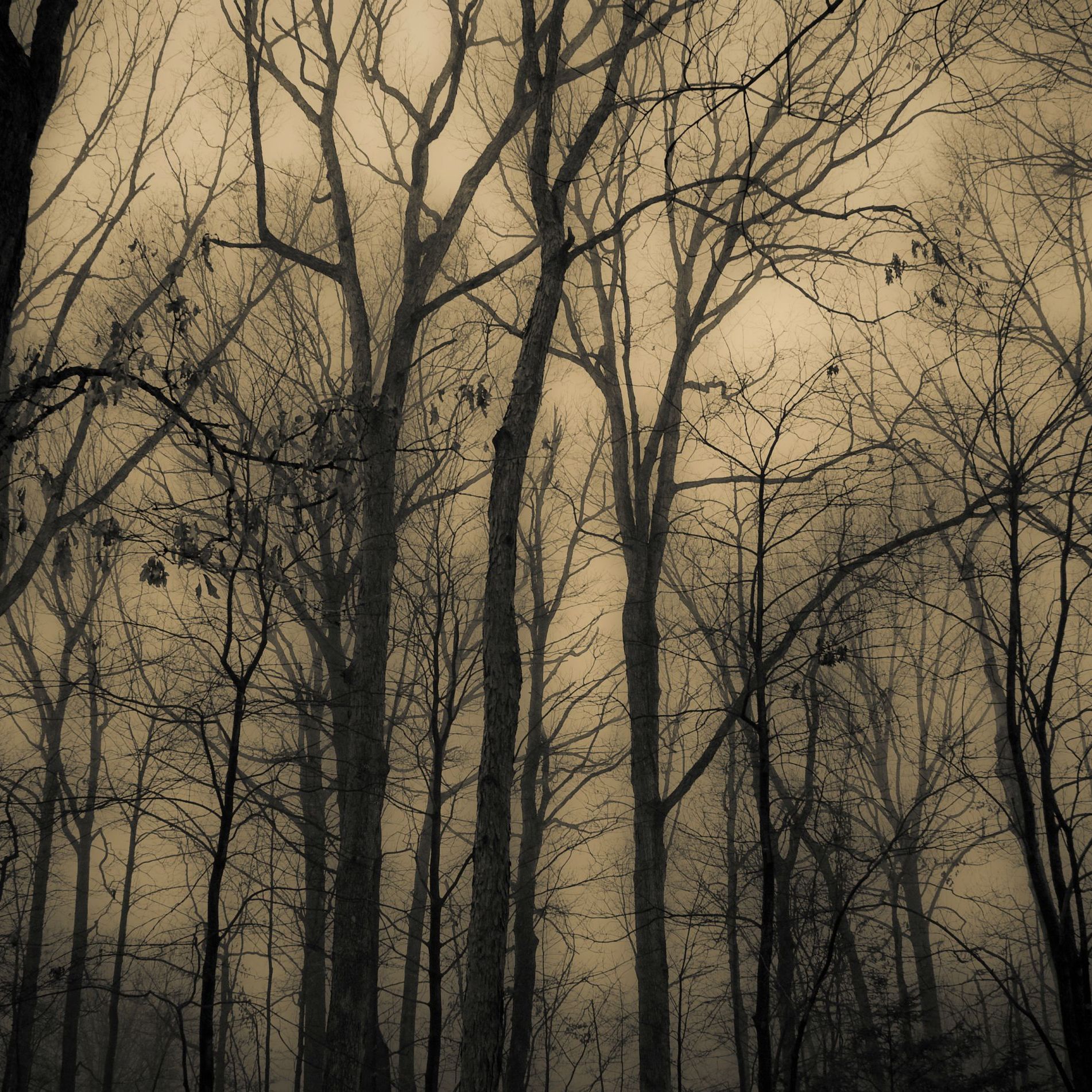 Family Folklore: A Paranormal Podcast