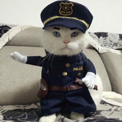 냥