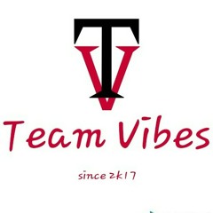TEAM VIBES™