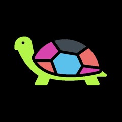 Disco Turtle