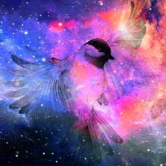 .:Feather:.