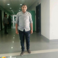 Tarek Gamal El Kassrawy