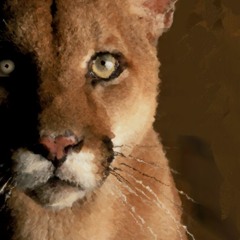 UH Faculty Engagement & Development