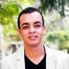 Mohamed Tawfeek Mohamed
