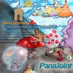 David Quevedo Fernández