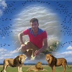 حمدي
