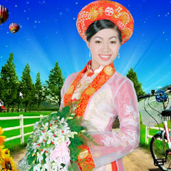 thi sy tran thi