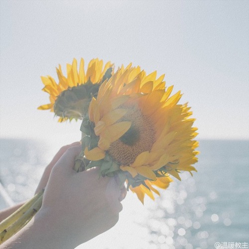 Stream 嘿 陈拾 大理寺日常 主题曲 Mr 岑 翻唱歌曲 歌词 5sing中国原创音乐基地by Windc18 Listen Online For Free On Soundcloud