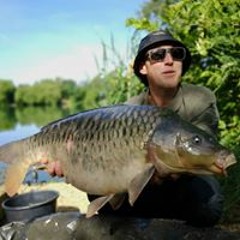 tedinho