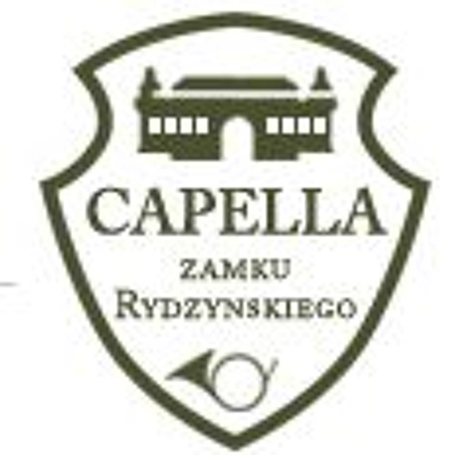 CapellaZamkuRydzyńskiego’s avatar
