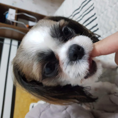 근돼