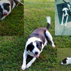 positive and funky mix