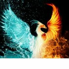 It's Phoenix Bitch@