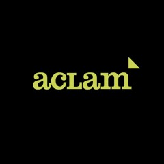 Aclam Guitars