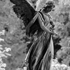 notorious angel