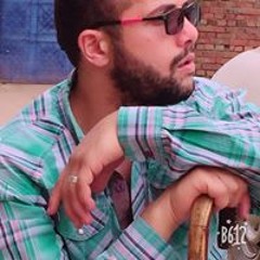 Mostafa Elhbshawy