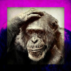 HeadScratchingMonkey