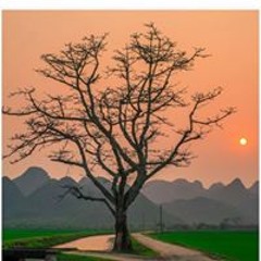 Đình Thảo