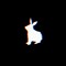 White Rabbit