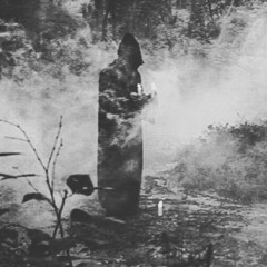 Shamans Starry Wisdom