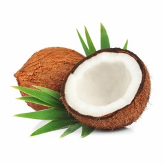 The Coconut Band