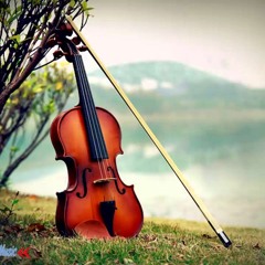 عزف على الكمان والناي 46