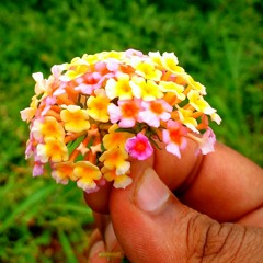 Prakyath Poojary