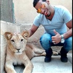 محمد العربي