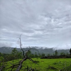 ABHAY DHANDE