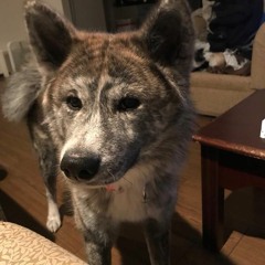 iron reaver dad stealer