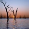 Yarra Tunes