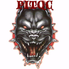 TEAM PITQC