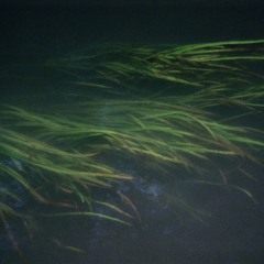 EARTH MOUNTAIN SPACE