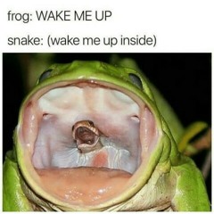 can't wake up