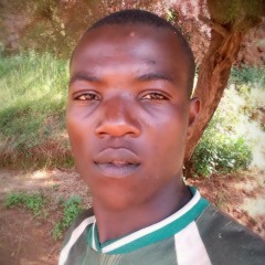 robert bob