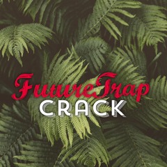 FutureTrapCrack