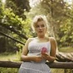 nada shalan