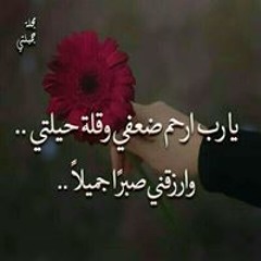 ريما الشناوي