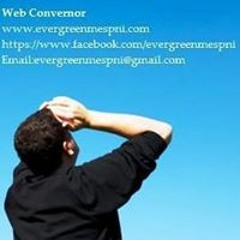Web Convenor