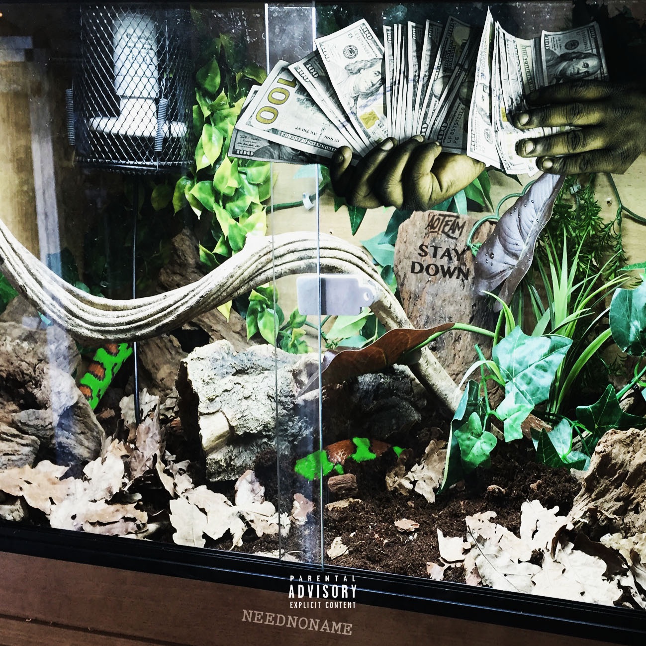 NeedNoname713 podcast artwork
