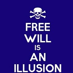 Free Will