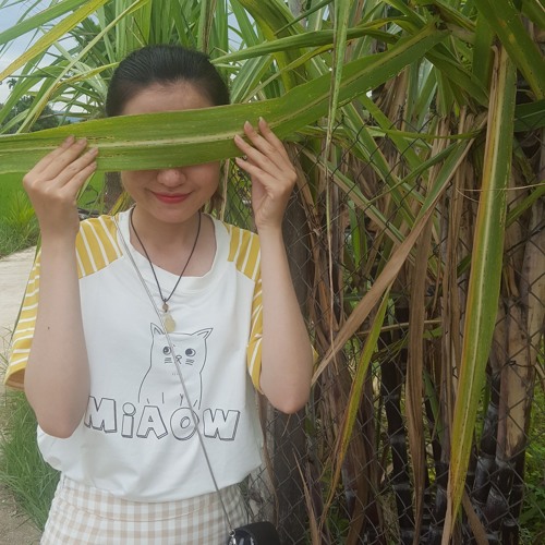 飞鸟和蝉 (Phi điểu và Ve sầu) - cover by Ròm
