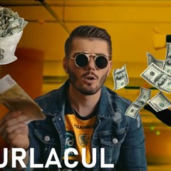 Burlacul