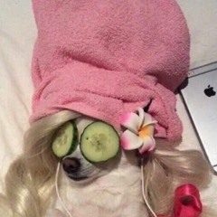 Holly O'Reilly ￼🏩