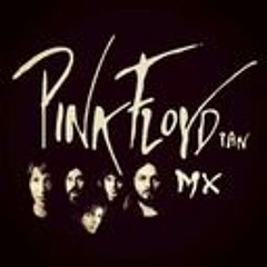 Pink Floydian Mx